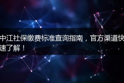 中江社保缴费标准查询指南，官方渠道快速了解！