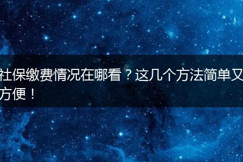 社保缴费情况在哪看？这几个方法简单又方便！