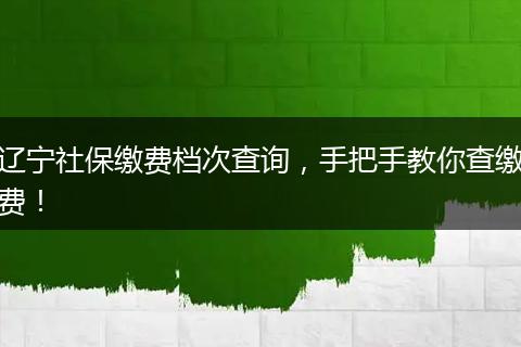辽宁社保缴费档次查询，手把手教你查缴费！