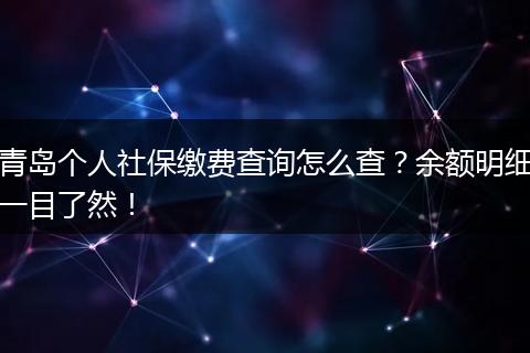 青岛个人社保缴费查询怎么查？余额明细一目了然！