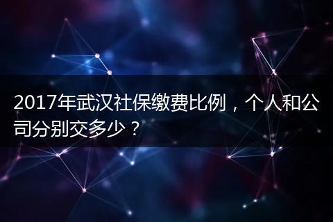 2017年武汉社保缴费比例，个人和公司分别交多少？
