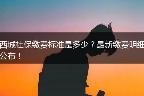 西城社保缴费标准是多少？最新缴费明细公布！
