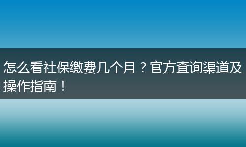 怎么看社保缴费几个月？官方查询渠道及操作指南！