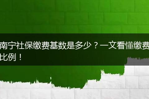南宁社保缴费基数是多少？一文看懂缴费比例！