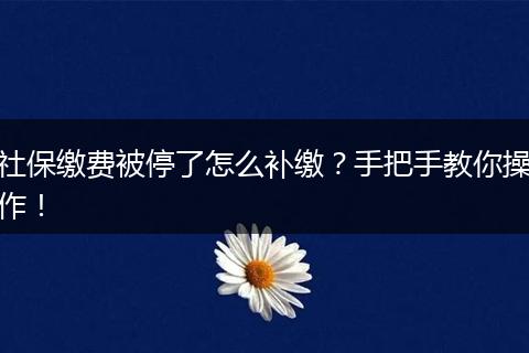 社保缴费被停了怎么补缴？手把手教你操作！