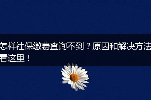 怎样社保缴费查询不到？原因和解决方法看这里！