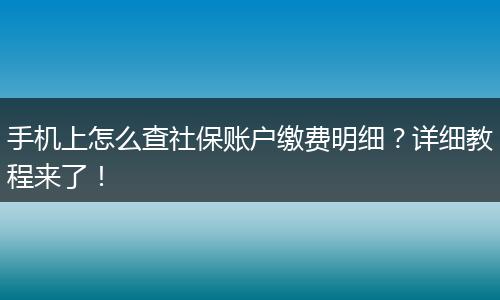 手机上怎么查社保账户缴费明细？详细教程来了！
