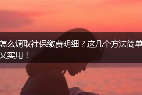 怎么调取社保缴费明细？这几个方法简单又实用！