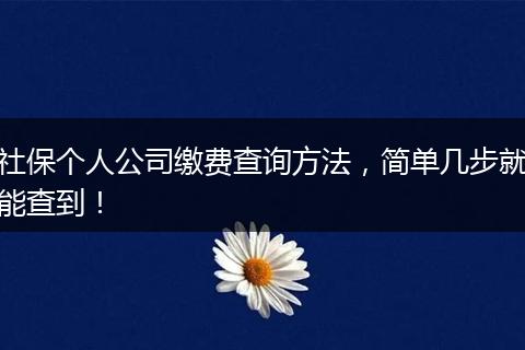 社保个人公司缴费查询方法，简单几步就能查到！