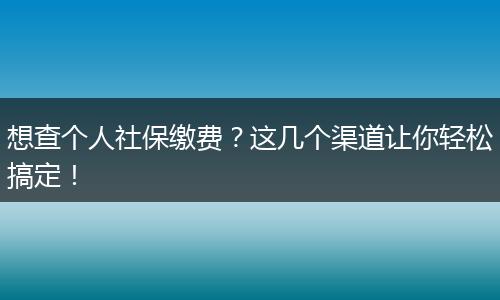 想查个人社保缴费？这几个渠道让你轻松搞定！