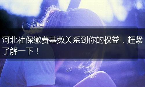 河北社保缴费基数关系到你的权益，赶紧了解一下！