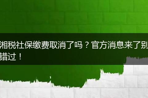湘税社保缴费取消了吗？官方消息来了别错过！