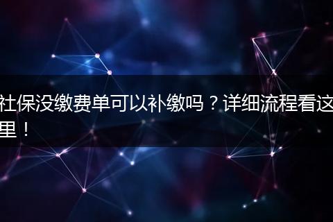 社保没缴费单可以补缴吗？详细流程看这里！