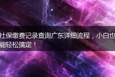 社保缴费记录查询广东详细流程，小白也能轻松搞定！