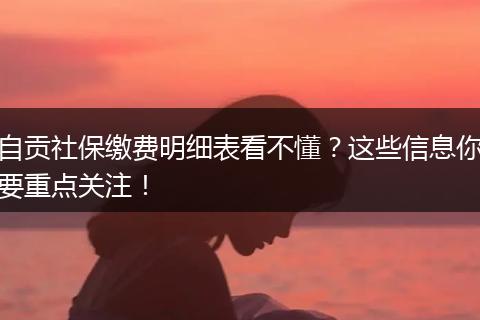 自贡社保缴费明细表看不懂？这些信息你要重点关注！