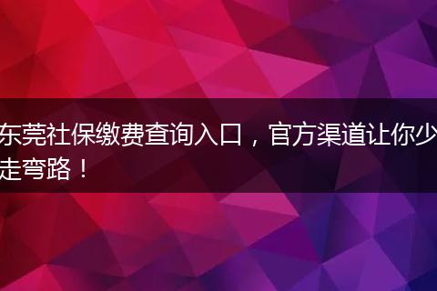 东莞社保缴费查询入口，官方渠道让你少走弯路！