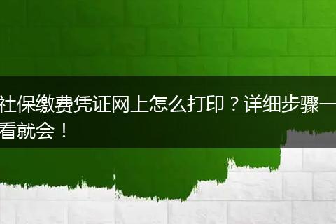 社保缴费凭证网上怎么打印？详细步骤一看就会！