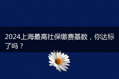 2024上海最高社保缴费基数，你达标了吗？