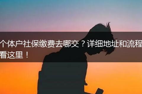 个体户社保缴费去哪交？详细地址和流程看这里！