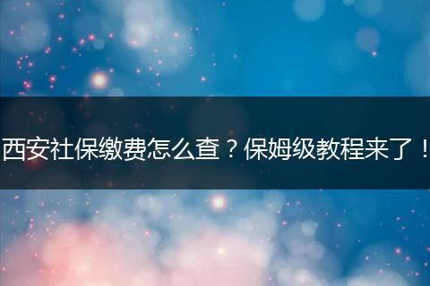 西安社保缴费怎么查？保姆级教程来了！