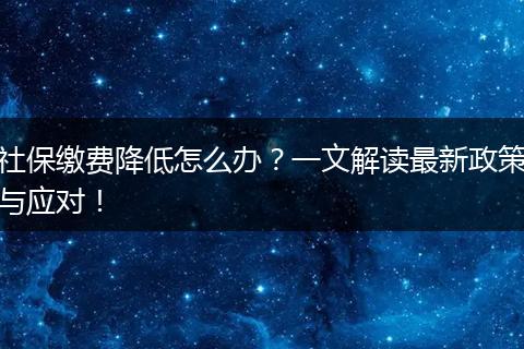 社保缴费降低怎么办？一文解读最新政策与应对！