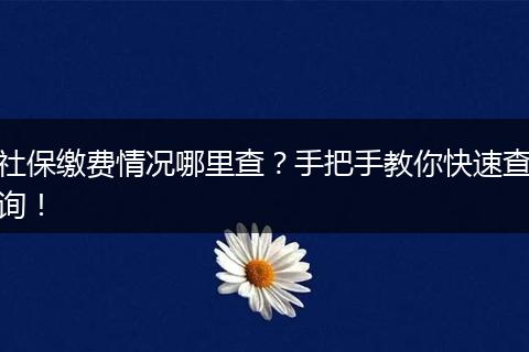 社保缴费情况哪里查？手把手教你快速查询！