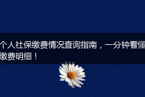 个人社保缴费情况查询指南，一分钟看懂缴费明细！