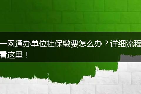 一网通办单位社保缴费怎么办？详细流程看这里！