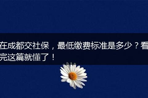 在成都交社保，最低缴费标准是多少？看完这篇就懂了！