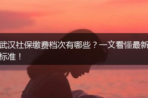 武汉社保缴费档次有哪些？一文看懂最新标准！