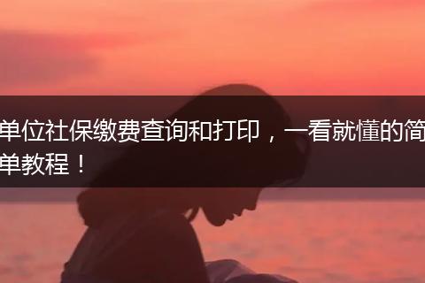 单位社保缴费查询和打印，一看就懂的简单教程！