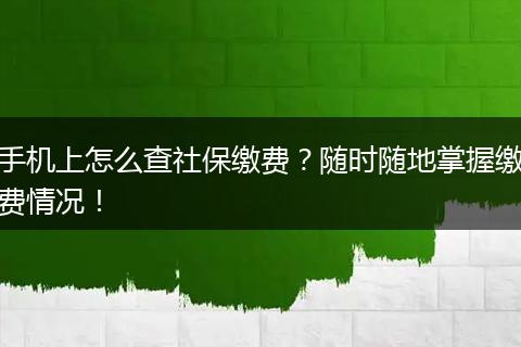 手机上怎么查社保缴费？随时随地掌握缴费情况！