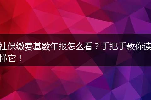 社保缴费基数年报怎么看？手把手教你读懂它！