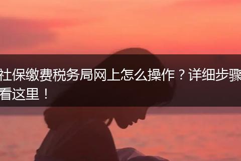 社保缴费税务局网上怎么操作？详细步骤看这里！