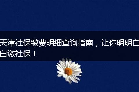天津社保缴费明细查询指南，让你明明白白缴社保！