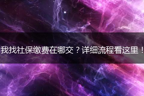 我找社保缴费在哪交？详细流程看这里！
