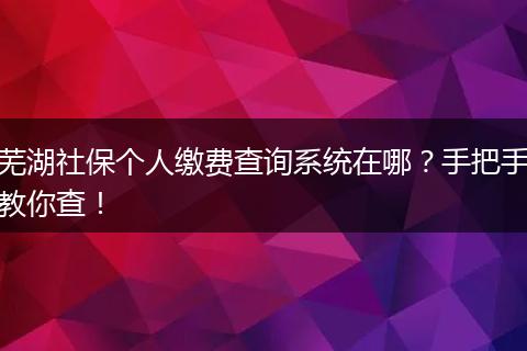 芜湖社保个人缴费查询系统在哪？手把手教你查！