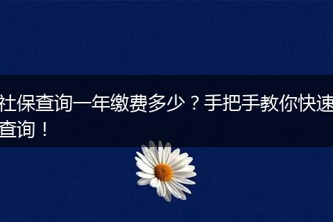 社保查询一年缴费多少？手把手教你快速查询！