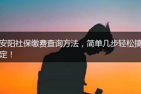 安阳社保缴费查询方法，简单几步轻松搞定！