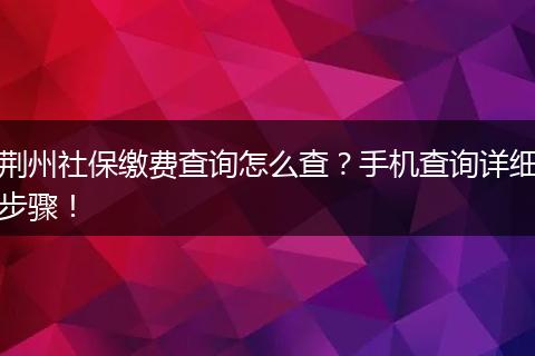 荆州社保缴费查询怎么查？手机查询详细步骤！
