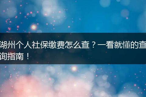湖州个人社保缴费怎么查？一看就懂的查询指南！