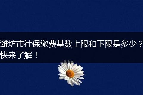 潍坊市社保缴费基数上限和下限是多少？快来了解！