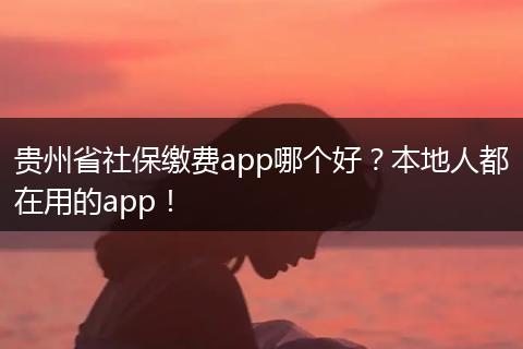 贵州省社保缴费app哪个好？本地人都在用的app！