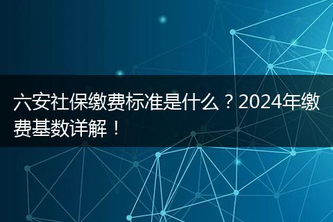 六安社保缴费标准是什么？2024年缴费基数详解！