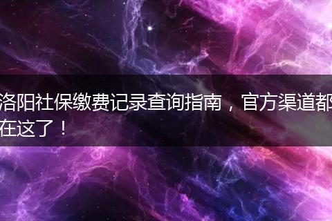 洛阳社保缴费记录查询指南，官方渠道都在这了！