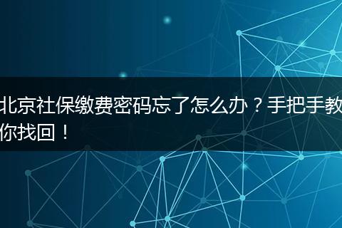 北京社保缴费密码忘了怎么办？手把手教你找回！