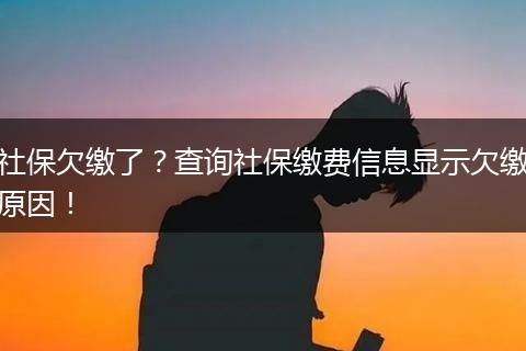 社保欠缴了？查询社保缴费信息显示欠缴原因！