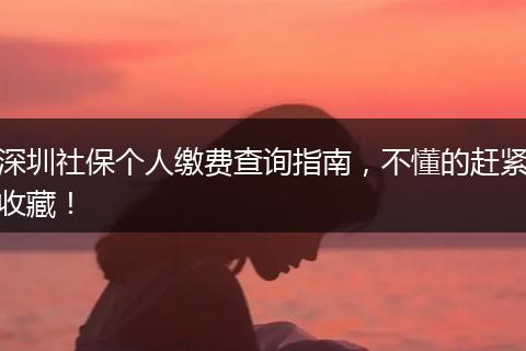 深圳社保个人缴费查询指南，不懂的赶紧收藏！