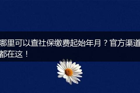 哪里可以查社保缴费起始年月？官方渠道都在这！