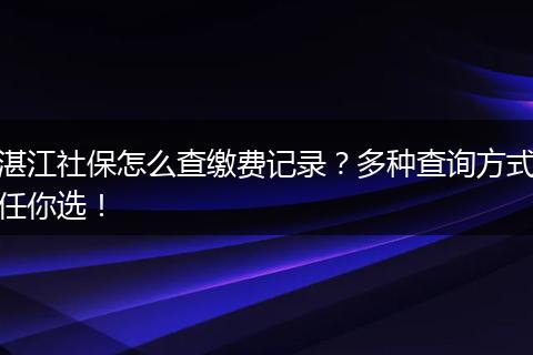 湛江社保怎么查缴费记录？多种查询方式任你选！